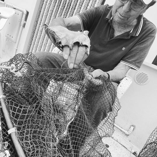FISH & WINE BIKE PEDALANDO E DEGUSTANDO 29 MARZO - 7 GIUGNO - 5  LUGLIO 
