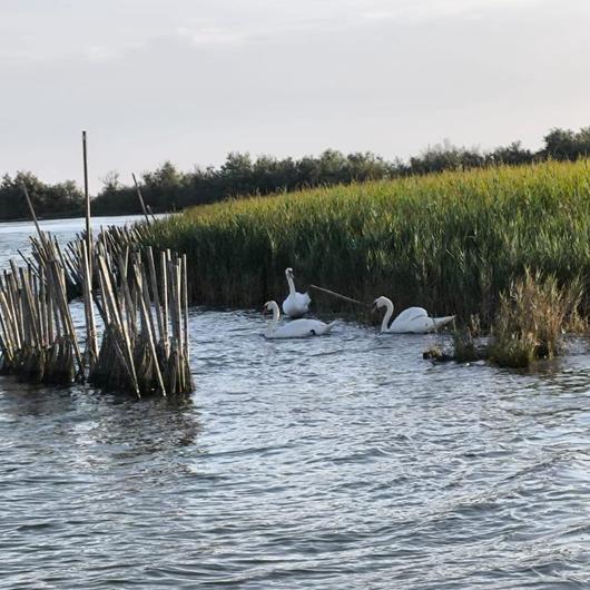BOAT & BIKE LAGOON EXCLUSIVE 10 MAGGIO / 2 AGOSTO / 27 SETTEMBRE