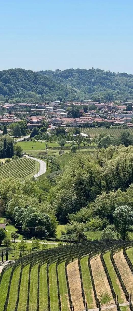 BIKE & WINE  NEL CUORE DEL RAMANDOLO 10 OTTOBRE 2026