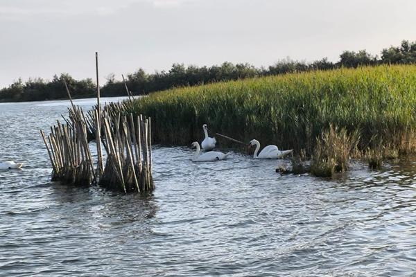 BOAT & BIKE LAGOON EXCLUSIVE 10 MAGGIO / 2 AGOSTO / 27 SETTEMBRE
