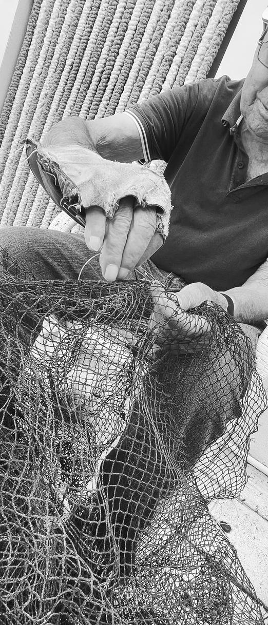 FISH & WINE BIKE PEDALANDO E DEGUSTANDO 29 MARZO - 7 GIUGNO - 5  LUGLIO 
