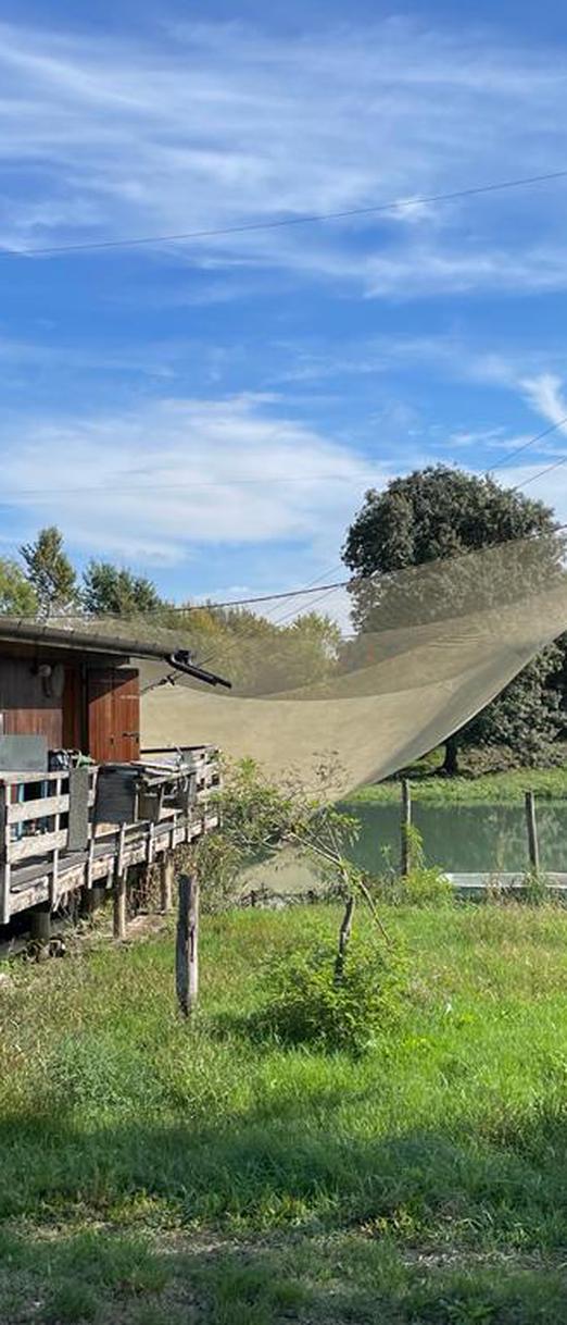 CICLOESCURSIONE DEL BOSCO BAREDI E DELLA BILANCIA DA PESCA