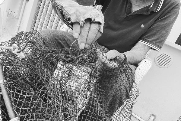 FISH & WINE BIKE PEDALANDO E DEGUSTANDO 29 MARZO - 7 GIUGNO - 5  LUGLIO 