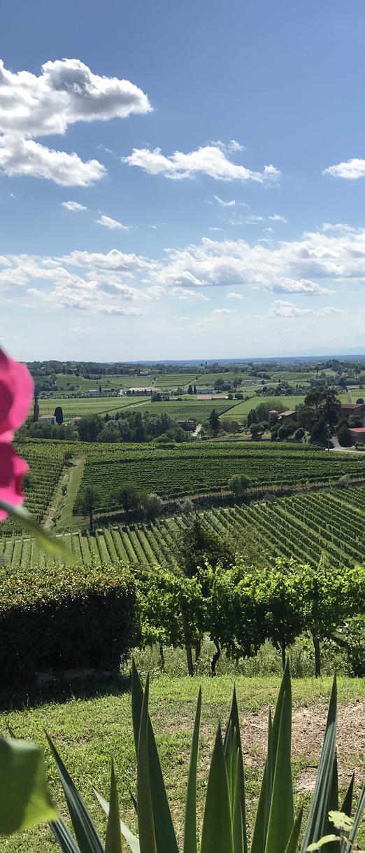 PEDALANDO IL COLLIO - 5 MAGGIO, 13 OTTOBRE 2024