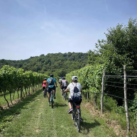 PEDALANDO IL COLLIO 19 LUGLIO 2025